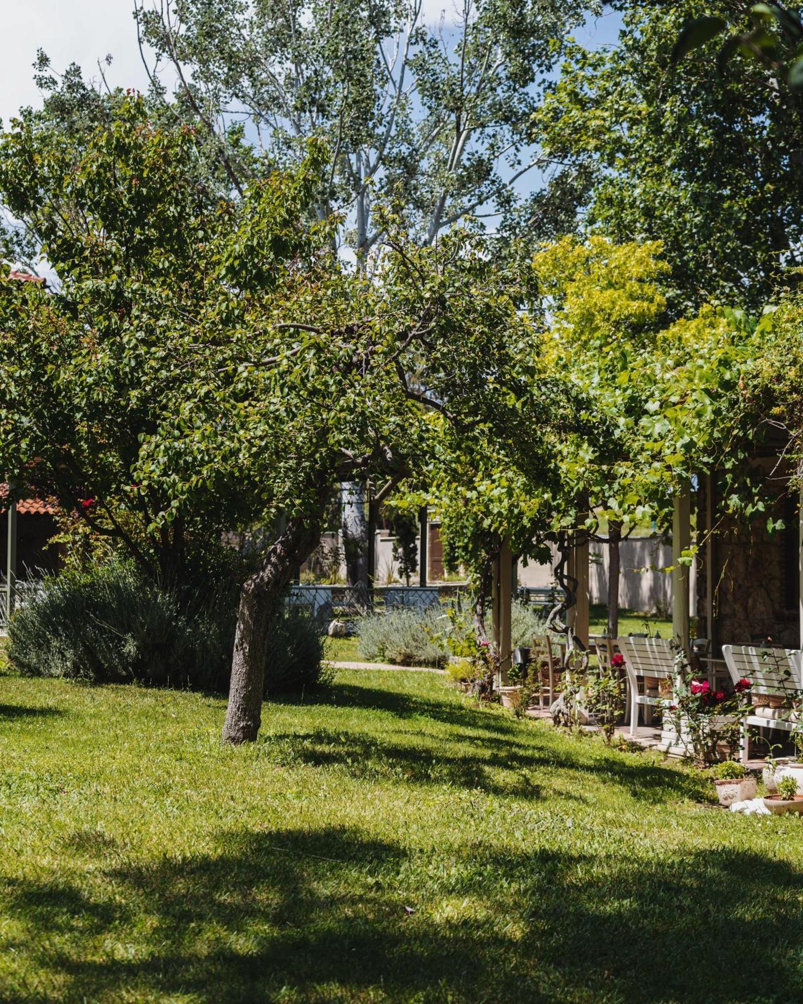 Petrino Eco Village Afytos Exterior photo